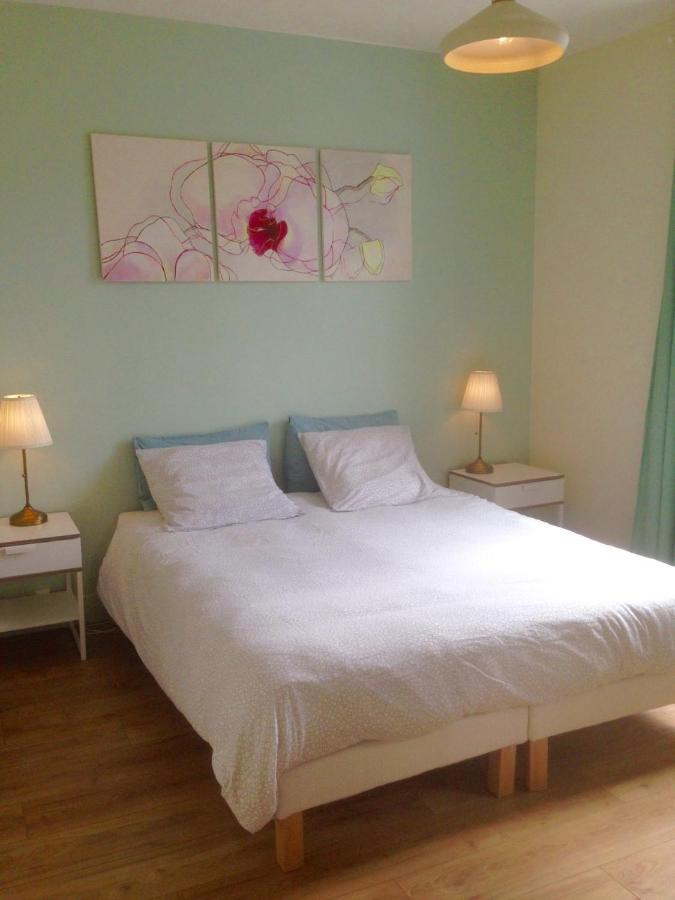 Joli Appartement Le Gutenberg T2 4P Quartier Mirabeau Proche Gare Tours Ngoại thất bức ảnh